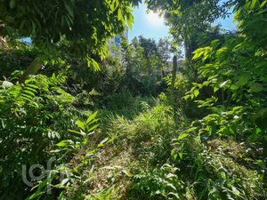 Image 26 - 891170