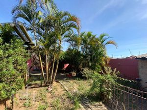 Image 8 - 891291