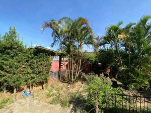 Image 5 - 891291