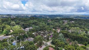 Image 11 - 891302