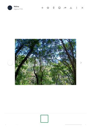 Image 1 - 891304