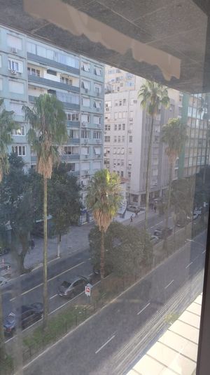 Image 8 - 891375