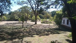 Image 5 - 891434