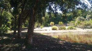 Image 3 - 891434