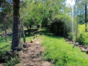 Image 12 - 891435