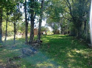 Image 0 - 891435