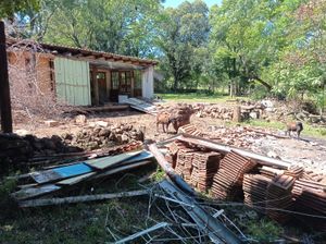 Image 9 - 891435