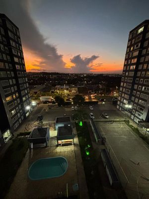 Image 13 - 891556