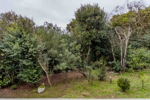 Image 27 - 891575