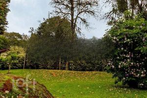 Image 11 - 891623
