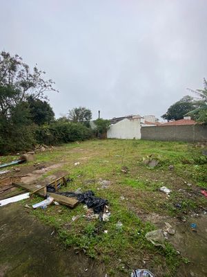 Image 3 - 891772