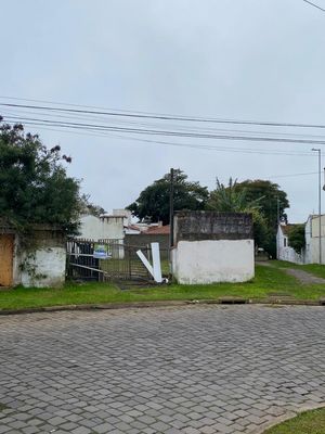 Image 5 - 891772