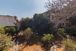 Image 62 - 891808