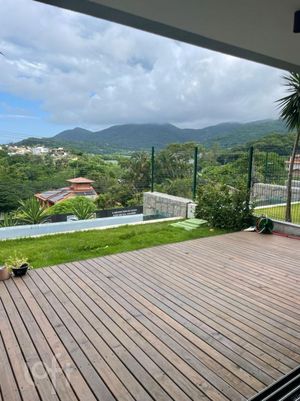 Image 30 - 892034