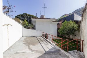 Image 87 - 892036