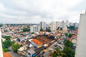 Image 16 - 892061