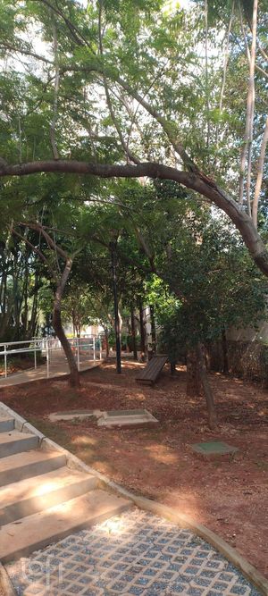 Image 10 - 892243