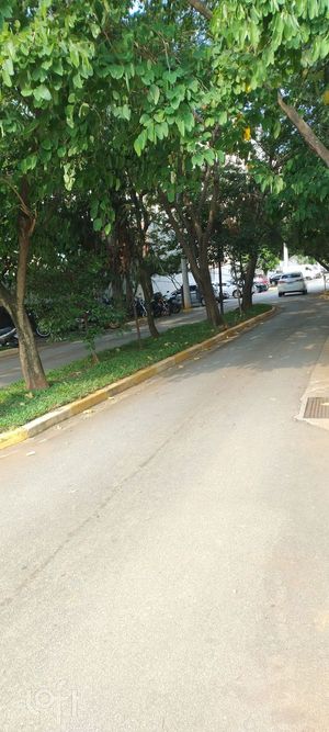 Image 13 - 892243