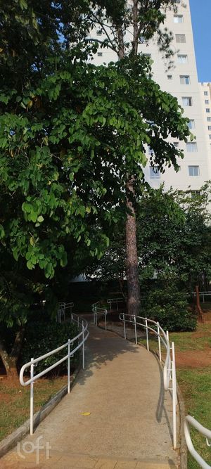Image 12 - 892243