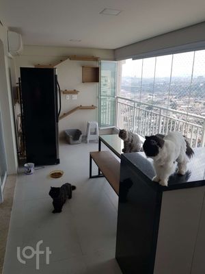 Image 3 - 892343