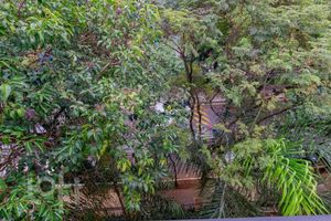 Image 8 - 892378