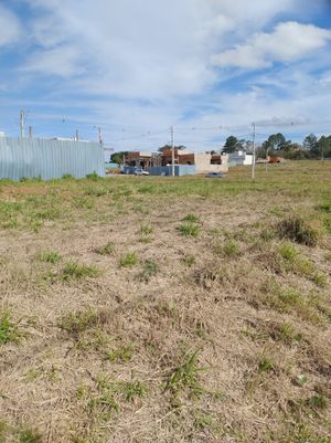Image 3 - 892430