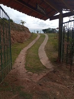 Image 15 - 892492