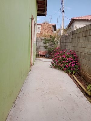 Image 16 - 892492