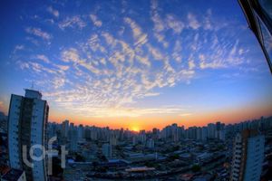 Image 28 - 892538