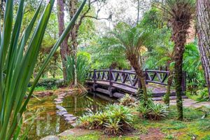 Image 8 - 892547
