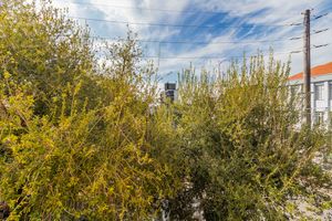 Image 8 - 892657