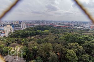 Image 24 - 892764