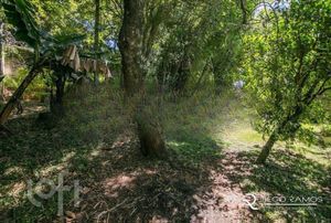 Image 37 - 892805