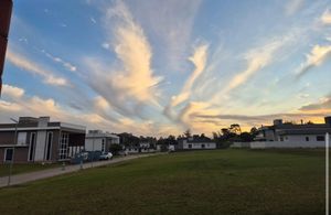 Image 2 - 892806