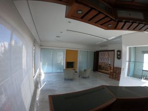 Image 20 - 892828