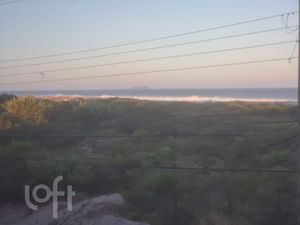 Image 15 - 892855