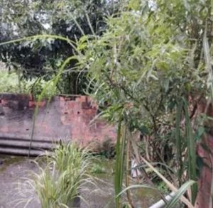 Image 9 - 892863