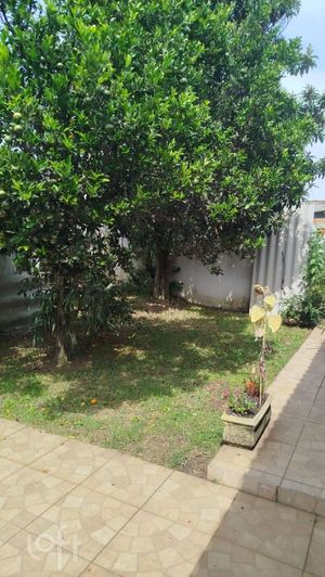 Image 8 - 892983