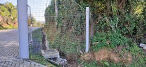 Image 3 - 892988