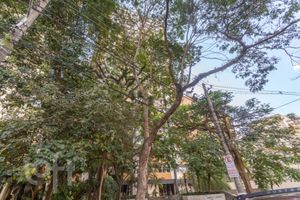 Image 46 - 893002