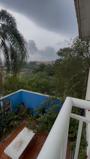 Image 13 - 893021