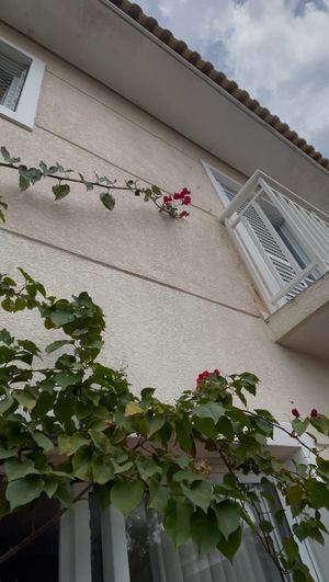 Image 25 - 893021