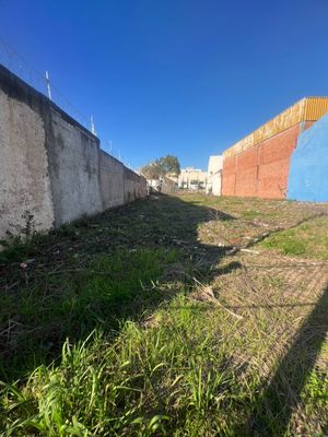 Image 2 - 893051