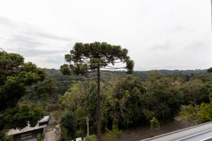 Image 16 - 893102