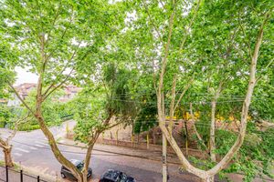 Image 15 - 893134