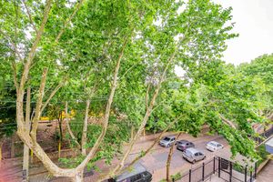 Image 16 - 893134