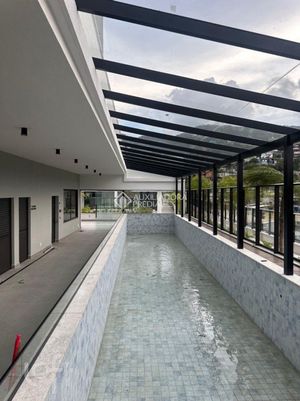 Image 12 - 893137