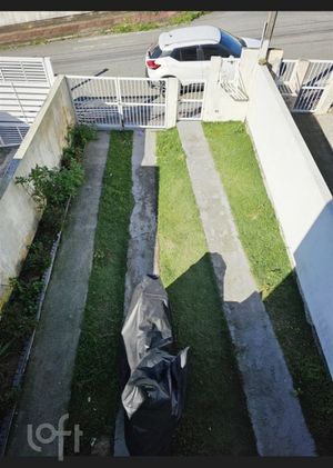 Image 8 - 893279