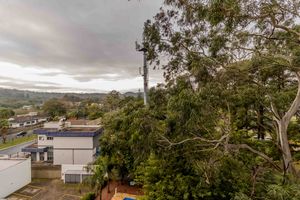 Image 7 - 893409