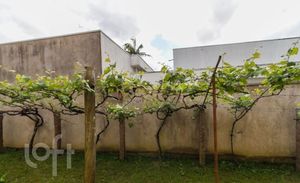 Image 19 - 893467